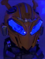 Bumblebee Helmet
