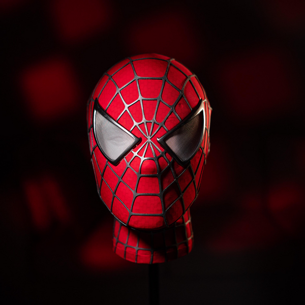 Tobey Maguire Spider Man Mask