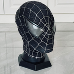 Tobey Maguire Spider Man Mask