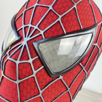 Tobey Maguire Spider Man Mask